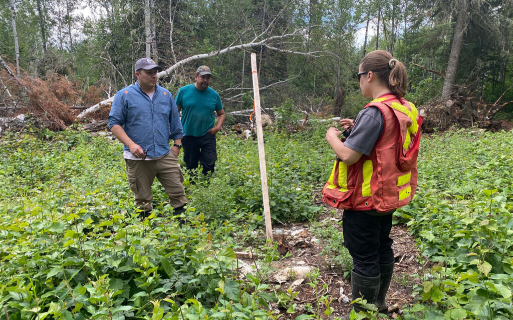 E2Gold Options Historic Band-Ore Gold Property